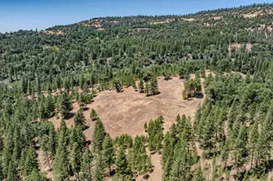 7401 Schaad Rd, Wilseyville, CA 95257 - Photo 67