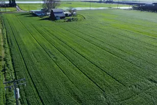 13085 N Vincent Rd, Turlock, CA 95380 - Photo 5