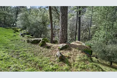 16947 Patricia Way, Grass Valley, CA 95949 - Photo 45