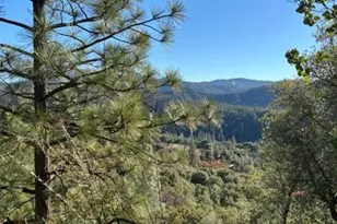 27447 W Laikam Ln, Columbia, CA 95310 - Photo 1