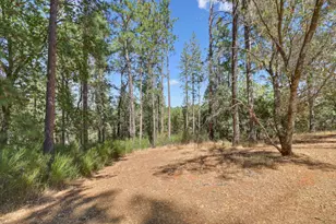 3135 Upper Black Rock Rd, Cool, CA 95614 - Photo 51