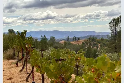 10285 Ponderosa Way, Pine Grove, CA 95665 - Photo 81