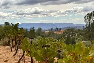 10285 Ponderosa Way, Pine Grove, CA 95665 - Photo 81