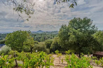 10285 Ponderosa Way, Pine Grove, CA 95665 - Photo 79