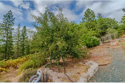 10285 Ponderosa Way, Pine Grove, CA 95665 - Photo 83