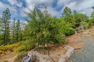 10285 Ponderosa Way, Pine Grove, CA 95665 - Photo 83