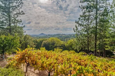 10285 Ponderosa Way, Pine Grove, CA 95665 - Photo 5