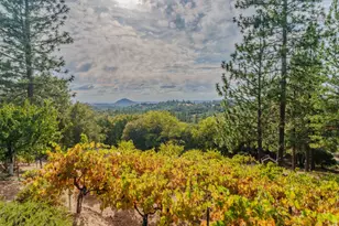 10285 Ponderosa Way, Pine Grove, CA 95665 - Photo 5