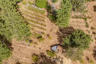 10285 Ponderosa Way, Pine Grove, CA 95665 - Photo 95