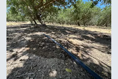 29710 Avenue 15 1/2, Madera, CA 29710 - Photo 11