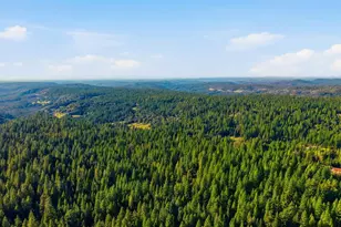 26476 Spring Rd, Pioneer, CA 95666 - Photo 95