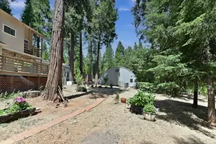 26476 Spring Rd, Pioneer, CA 95666 - Photo 83