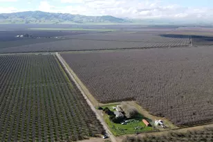 449 Center Rd, Vernalis, CA 95385 - Photo 7