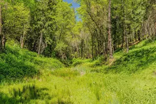 201 Barney Way, West Point, CA 95255 - Photo 65