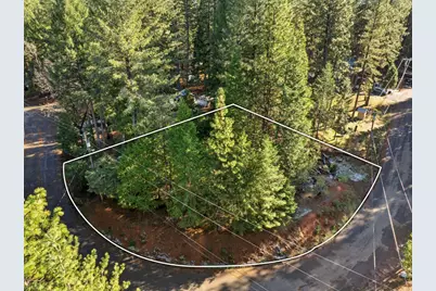 6962 Pioneer Drive, Grizzly Flats, CA 95636 - Photo 1