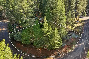 6962 Pioneer Dr, Grizzly Flats, CA 95636 - Photo 1