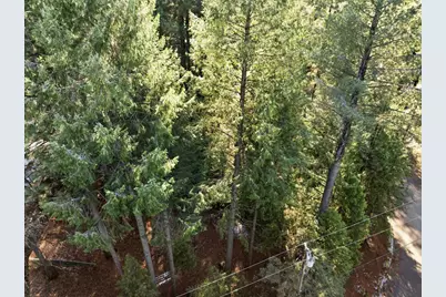 6962 Pioneer Drive, Grizzly Flats, CA 95636 - Photo 7