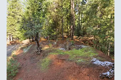 6962 Pioneer Drive, Grizzly Flats, CA 95636 - Photo 13