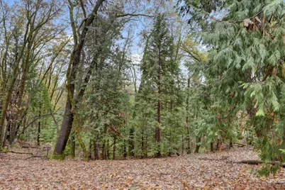 13815 Franciscan Way, Grass Valley, CA 95945 - Photo 61