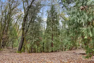13815 Franciscan Way, Grass Valley, CA 95945 - Photo 61