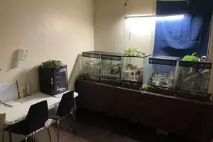 224 Bennett St, Grass Valley, CA 95945 - Photo 31