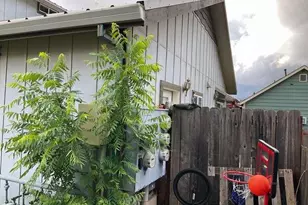 224 Bennett St, Grass Valley, CA 95945 - Photo 23