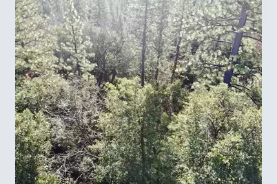 22600 Fiddletown Road, Fiddletown, CA 95209 - Photo 41