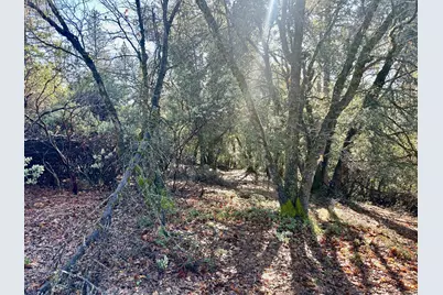 22600 Fiddletown Road, Fiddletown, CA 95209 - Photo 21