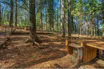 16243 Behr Mountain Road, Grass Valley, CA 95945 - Photo 57