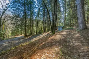 16243 Behr Mountain Rd, Grass Valley, CA 95945 - Photo 53