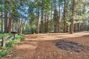 2911 Larkspur Ln, Camino, CA 95709 - Photo 49