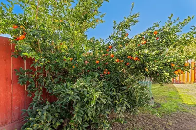 1332 Bluejay Way, Modesto, CA 95351 - Photo 47