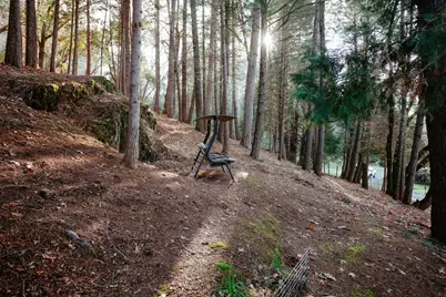 1325 Boole Road, Applegate, CA 95703 - Photo 51