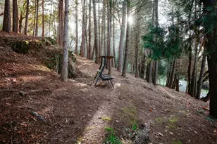 1325 Boole Rd, Applegate, CA 95703 - Photo 51