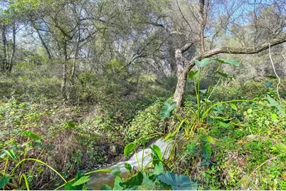 3900 Cold Stream Road, Auburn, CA 95602 - Photo 41