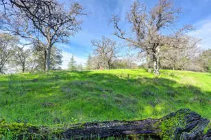 3900 Cold Stream Rd, Auburn, CA 95602 - Photo 27