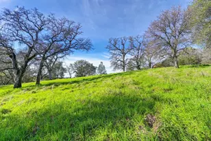 3900 Cold Stream Rd, Auburn, CA 95602 - Photo 25