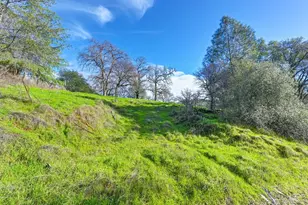 3900 Cold Stream Rd, Auburn, CA 95602 - Photo 35