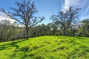 3900 Cold Stream Rd, Auburn, CA 95602 - Photo 23