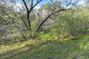 3900 Cold Stream Rd, Auburn, CA 95602 - Photo 37