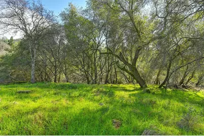 3900 Cold Stream Road, Auburn, CA 95602 - Photo 31