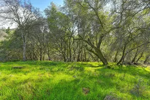 3900 Cold Stream Rd, Auburn, CA 95602 - Photo 31