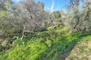 3900 Cold Stream Rd, Auburn, CA 95602 - Photo 39