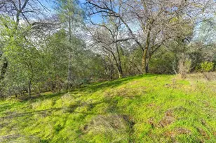 3900 Cold Stream Rd, Auburn, CA 95602 - Photo 45