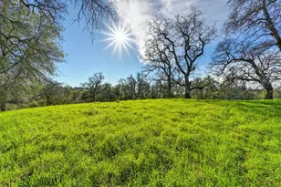 3900 Cold Stream Rd, Auburn, CA 95602 - Photo 33