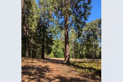 13625 Pegasus Place, Nevada City, CA 95959 - Photo 3