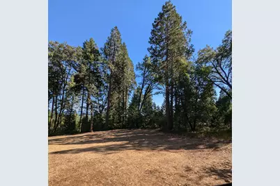 13625 Pegasus Place, Nevada City, CA 95959 - Photo 5