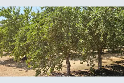 19100 County Road 86A, Esparto, CA 95627 - Photo 1