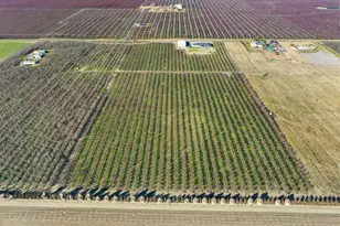 10393 Bradbury Rd, Ballico, CA 95303 - Photo 67