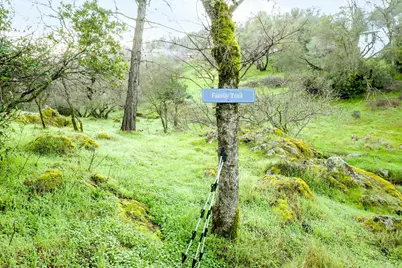 16004 Perimeter Road, Grass Valley, CA 95949 - Photo 77